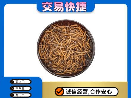 泉州市晋江礼品回收虫草.jpg